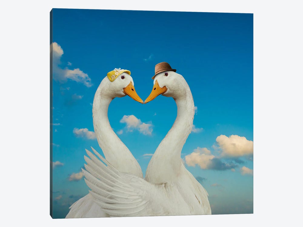Goose And Gander by Lund Roeser 1-piece Canvas Artwork