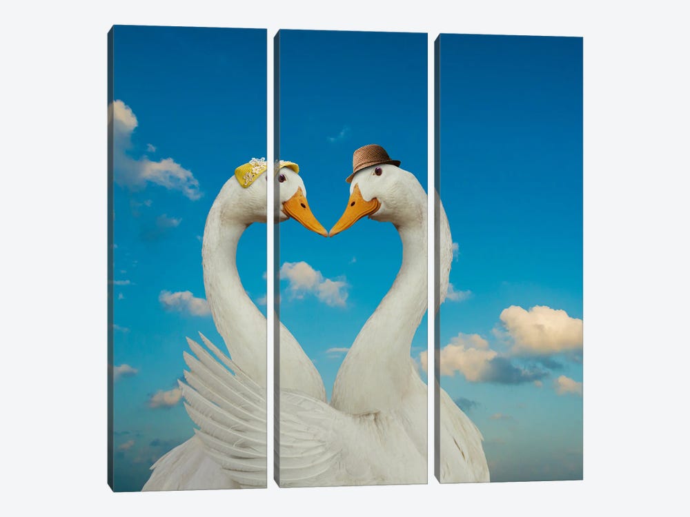 Goose And Gander by Lund Roeser 3-piece Canvas Artwork