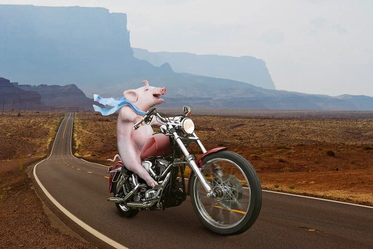 Hog On Hog