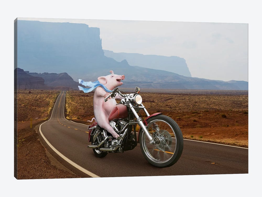 Hog On Hog by Lund Roeser 1-piece Canvas Wall Art