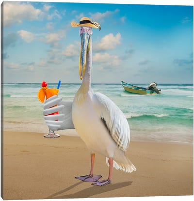 Beach Bird Canvas Art Print - Pelican Art
