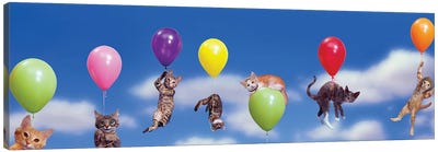 Kitten Flight Canvas Art Print - Balloons