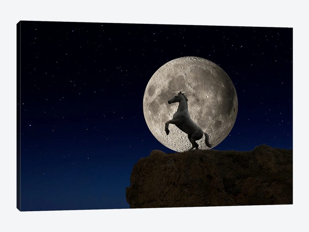 Night Horse by Lund Roeser 1-piece Art Print