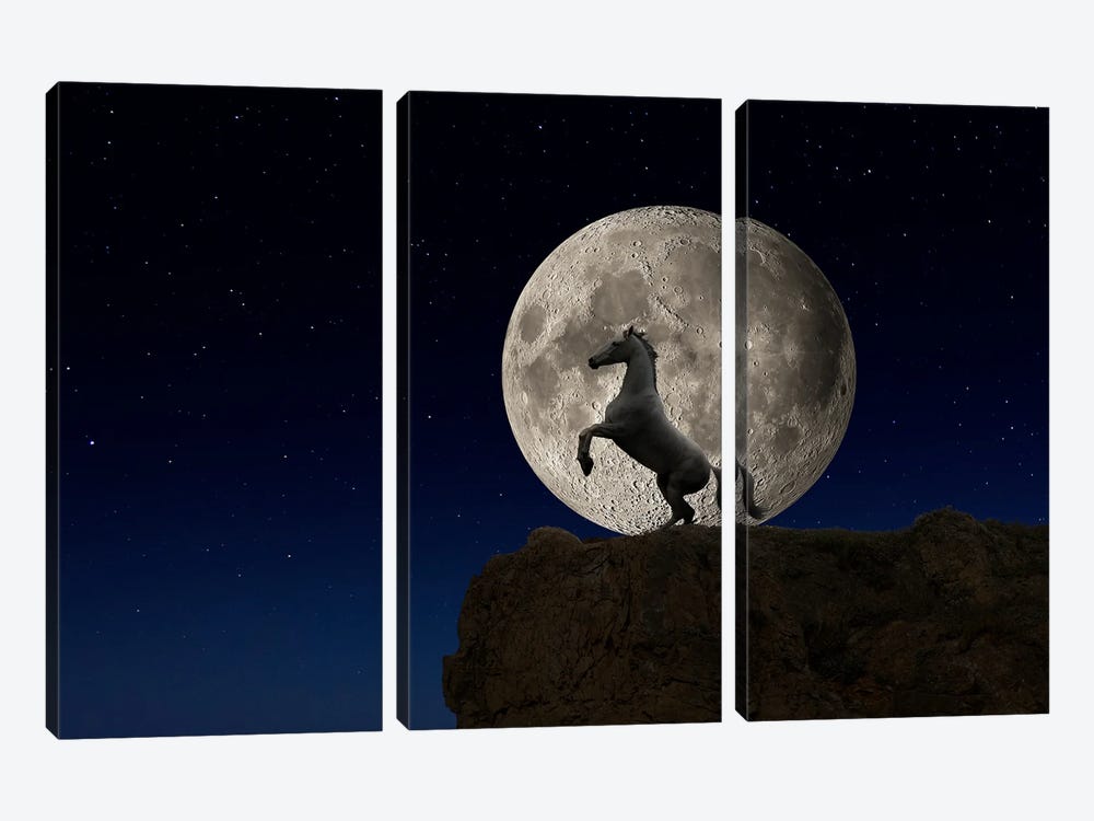Night Horse by Lund Roeser 3-piece Canvas Art Print