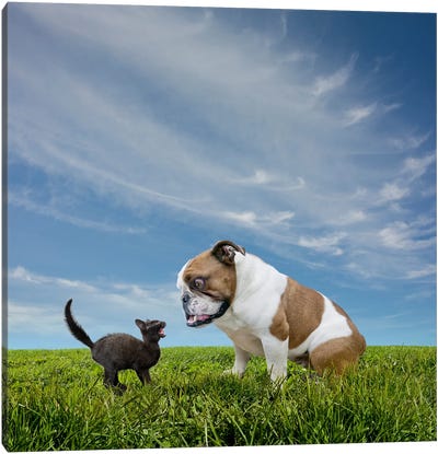 Stand Off Canvas Art Print - Lund Roeser