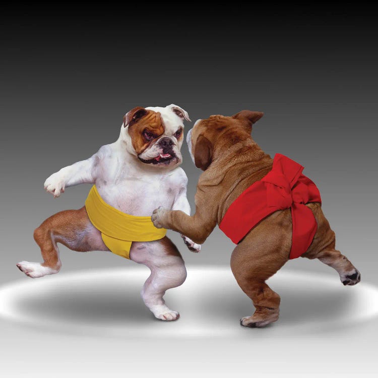 Sumo Dogs