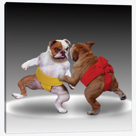 Sumo Dogs Canvas Print #LDZ63} by Lund Roeser Art Print