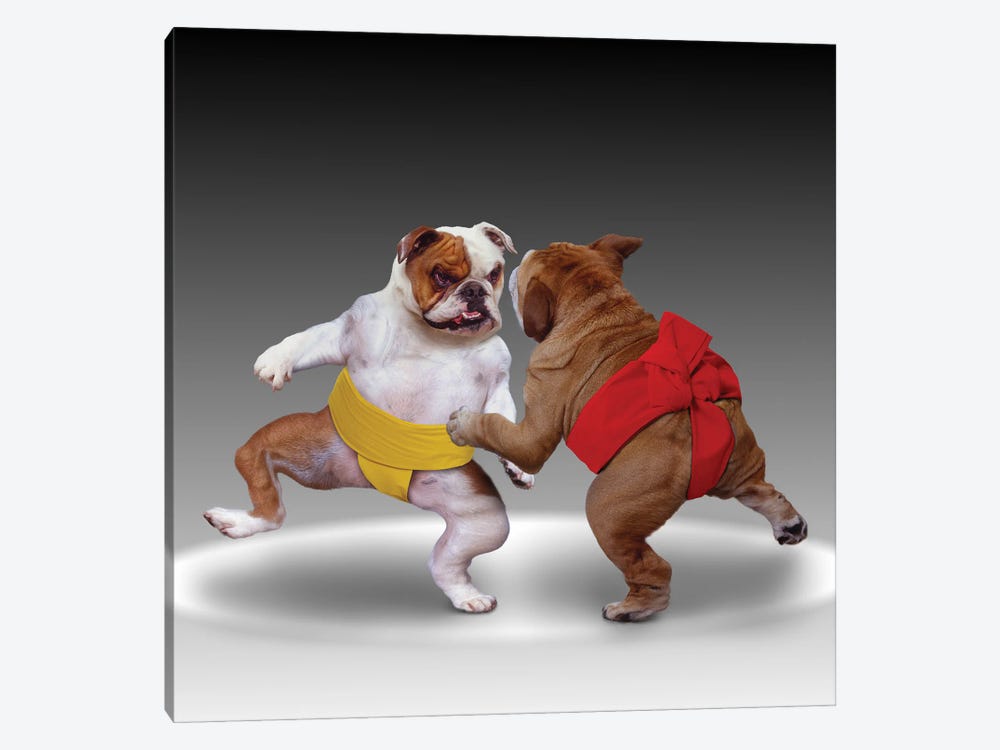 Sumo Dogs by Lund Roeser 1-piece Canvas Art