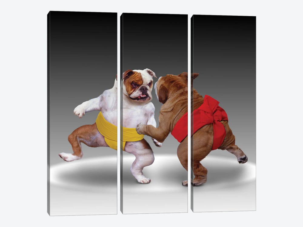 Sumo Dogs by Lund Roeser 3-piece Canvas Wall Art