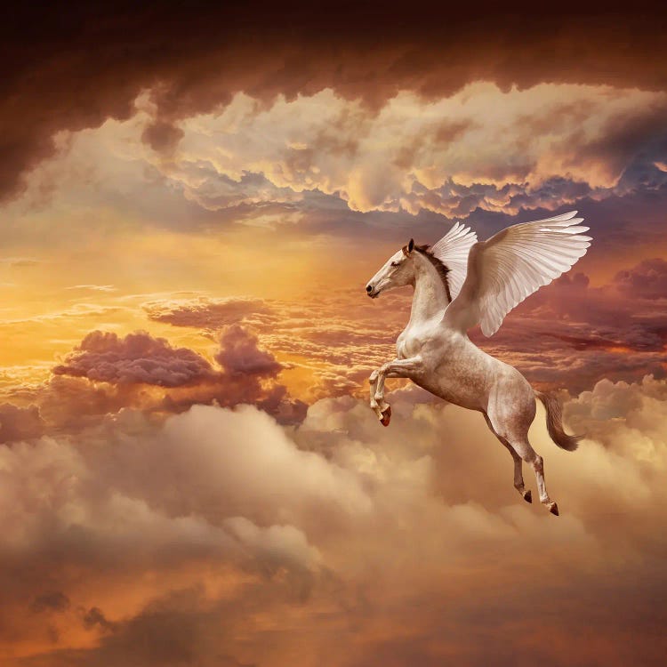 Sunset Pegasus