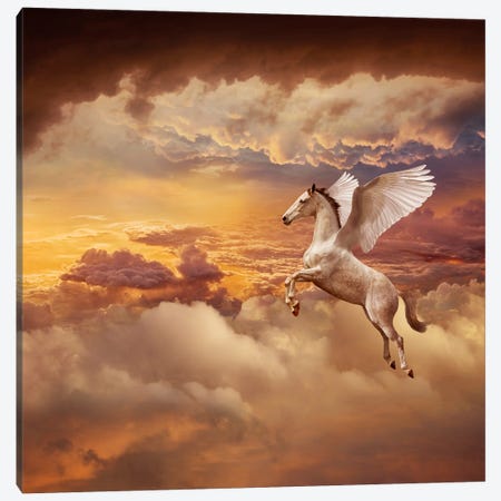 Sunset Pegasus Canvas Print #LDZ65} by Lund Roeser Canvas Wall Art