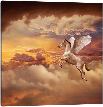 Sunset Pegasus Canvas Art Print - Cloudy Sunset Art