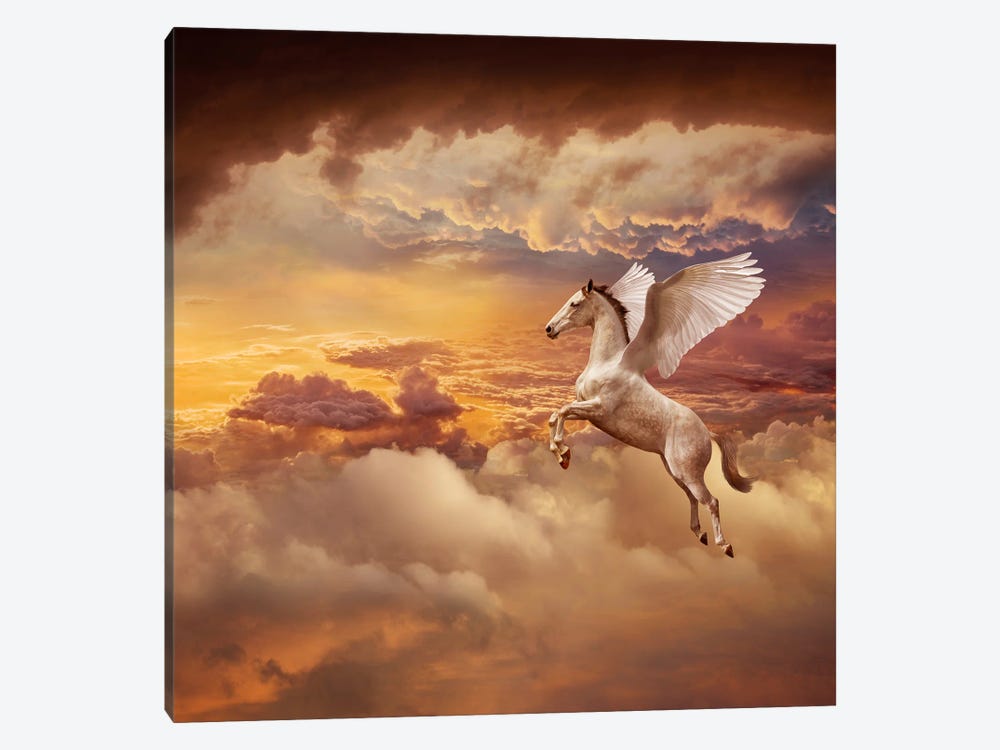 Sunset Pegasus by Lund Roeser 1-piece Canvas Artwork