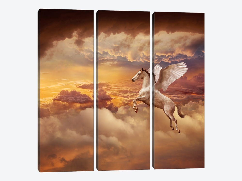 Sunset Pegasus by Lund Roeser 3-piece Canvas Wall Art