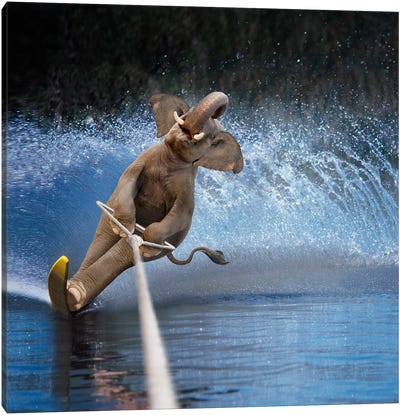 Water Ski Elephant Canvas Art Print - Skiing Art