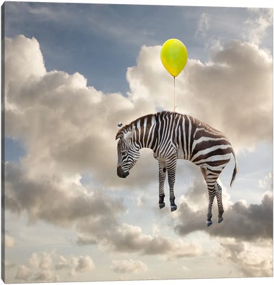 Zebra Float Canvas Art Print - Balloons