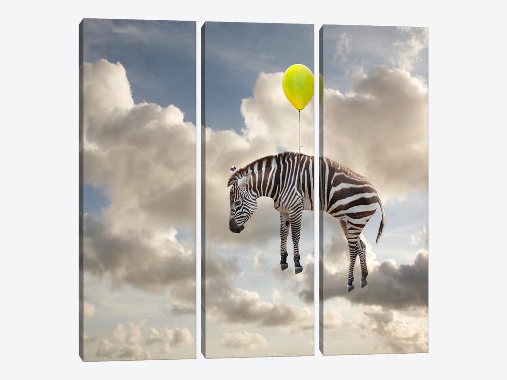 Zebra Float by Lund Roeser 3-piece Canvas Art Print