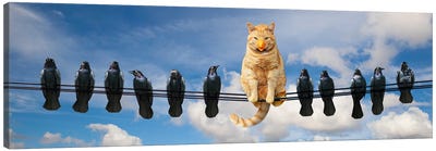 Clever Cat II Canvas Art Print - Lund Roeser