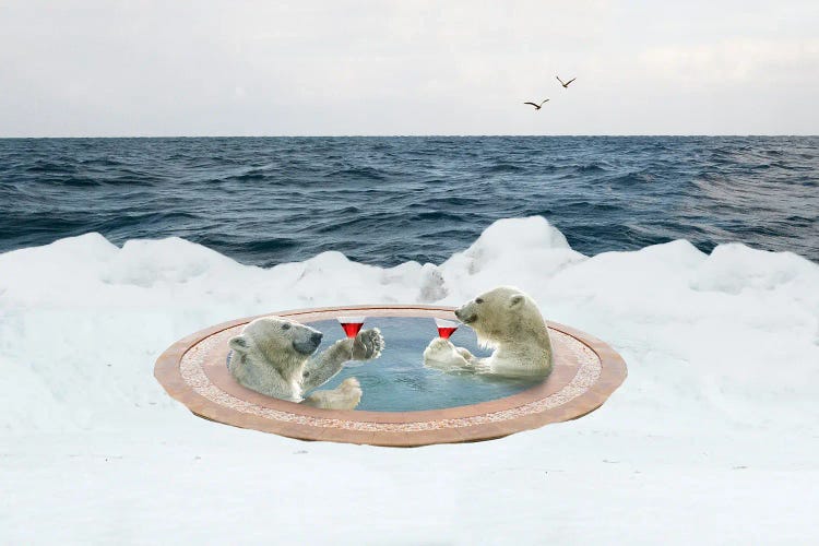 Polar Spa