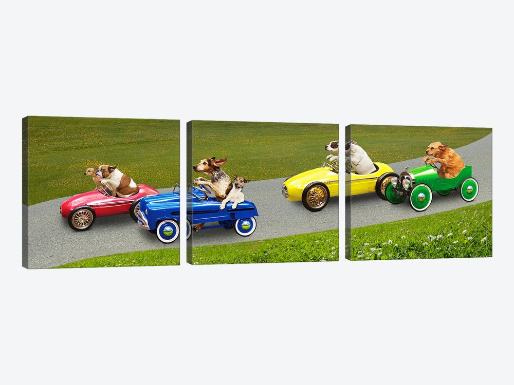 Dog Racing by Lund Roeser 3-piece Art Print