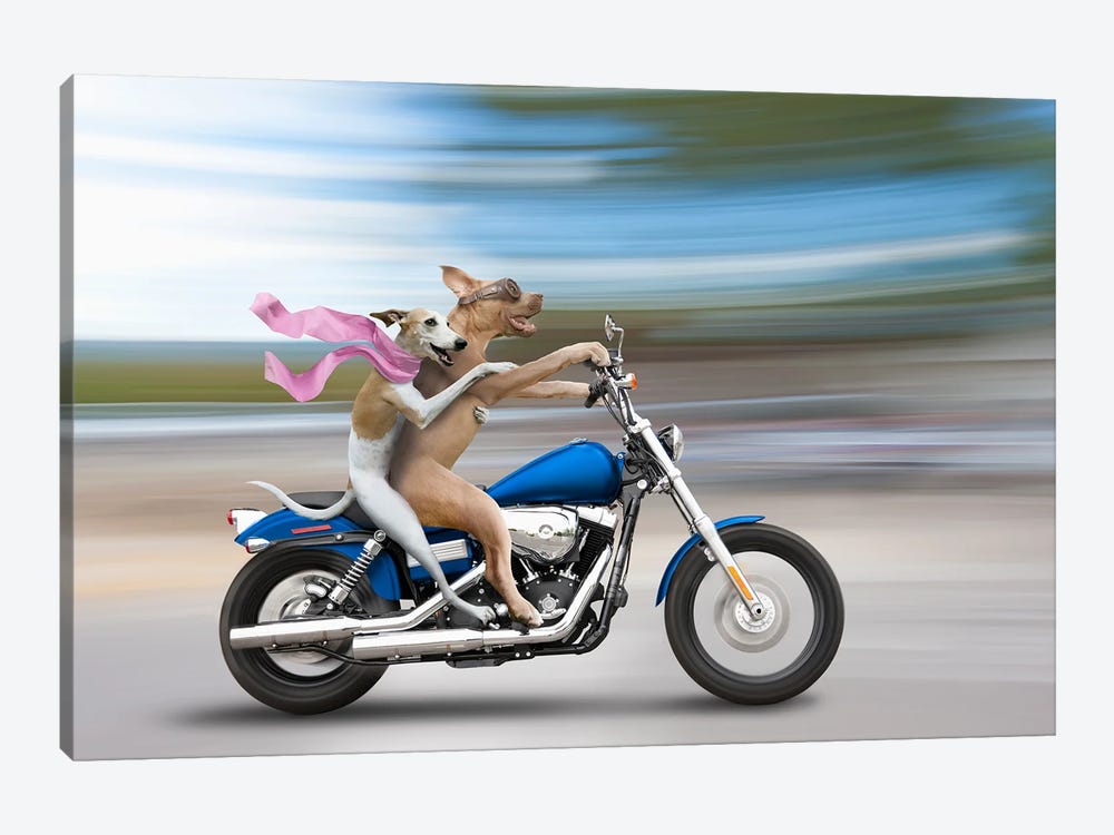 Biker Dogs by Lund Roeser 1-piece Canvas Artwork