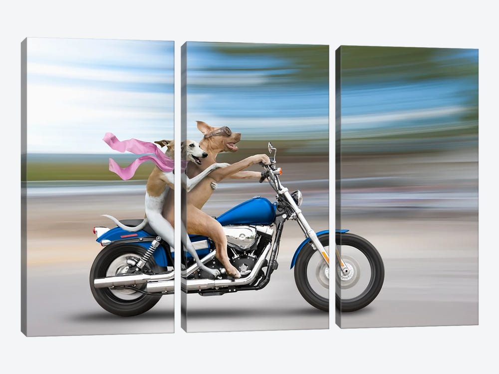 Biker Dogs by Lund Roeser 3-piece Canvas Artwork