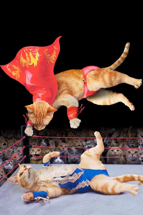 Cat Wrestling