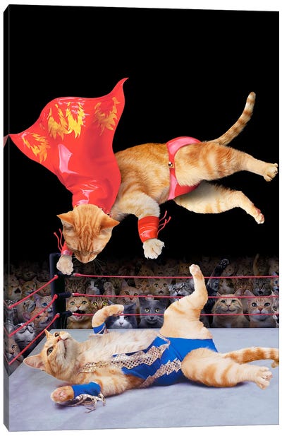 Cat Wrestling Canvas Art Print