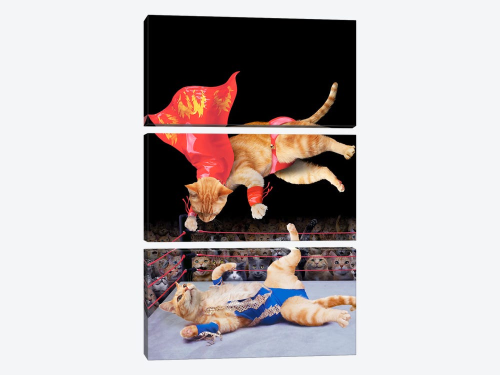 Cat Wrestling by Lund Roeser 3-piece Canvas Print