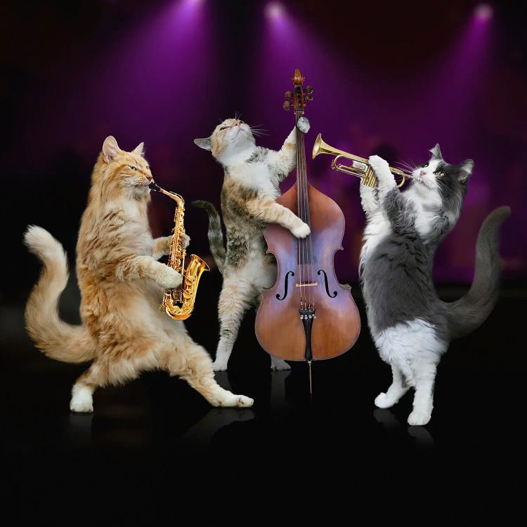 Jazz Cat Trio