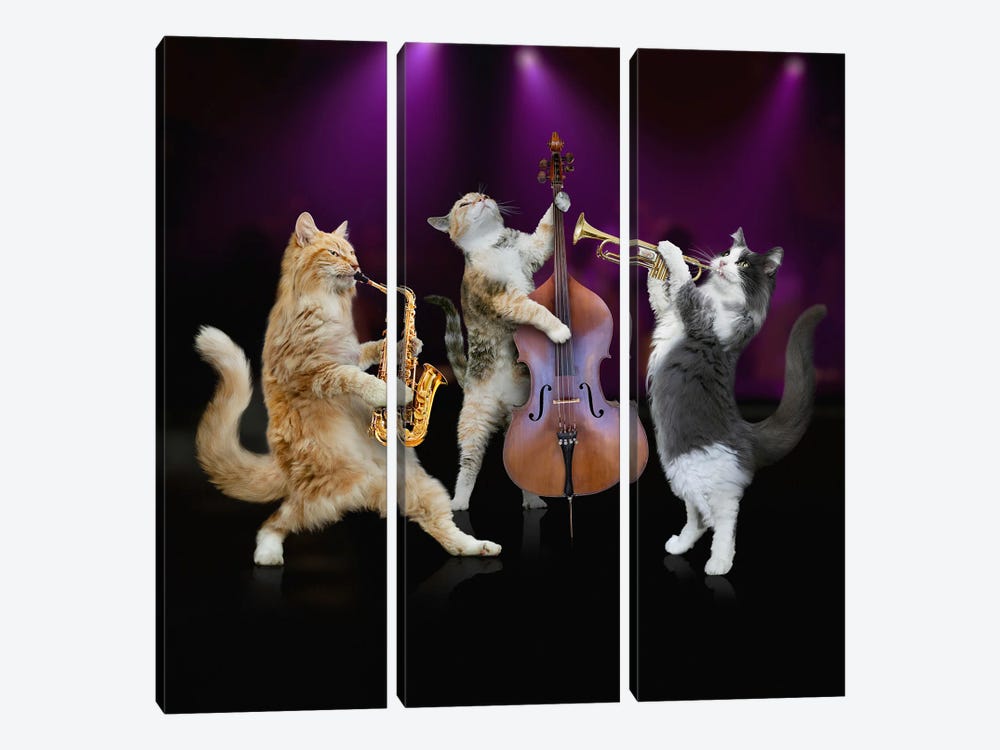 Jazz Cat Trio by Lund Roeser 3-piece Canvas Art