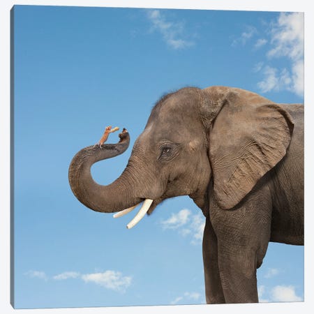 Elephant And Mouse Friends Canvas Print #LDZ89} by Lund Roeser Art Print
