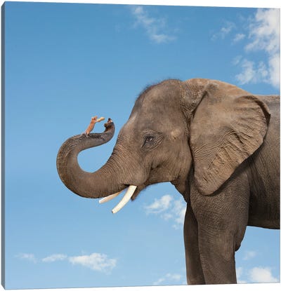 Elephant And Mouse Friends Canvas Art Print - Lund Roeser