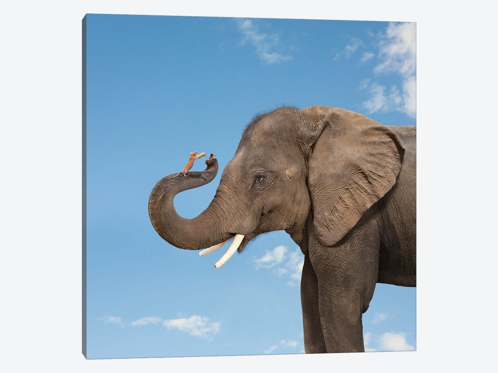 Elephant And Mouse Friends by Lund Roeser 1-piece Canvas Wall Art