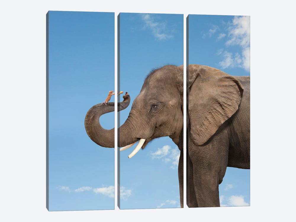 Elephant And Mouse Friends by Lund Roeser 3-piece Canvas Wall Art