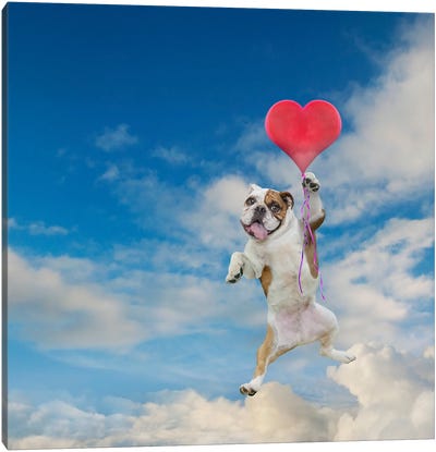 Higher Love Canvas Art Print - Bulldog Art