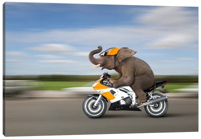 Elephant Biker Canvas Art Print - Adventure Art