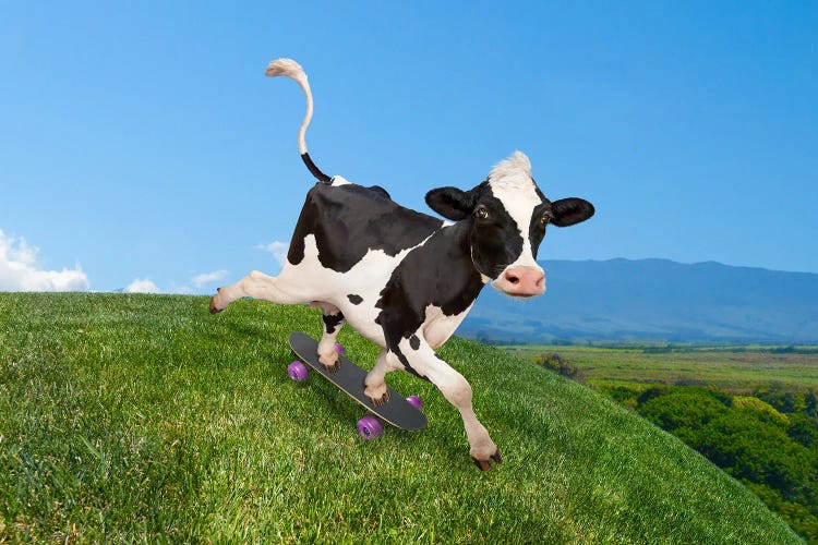 Skateboarding Cow