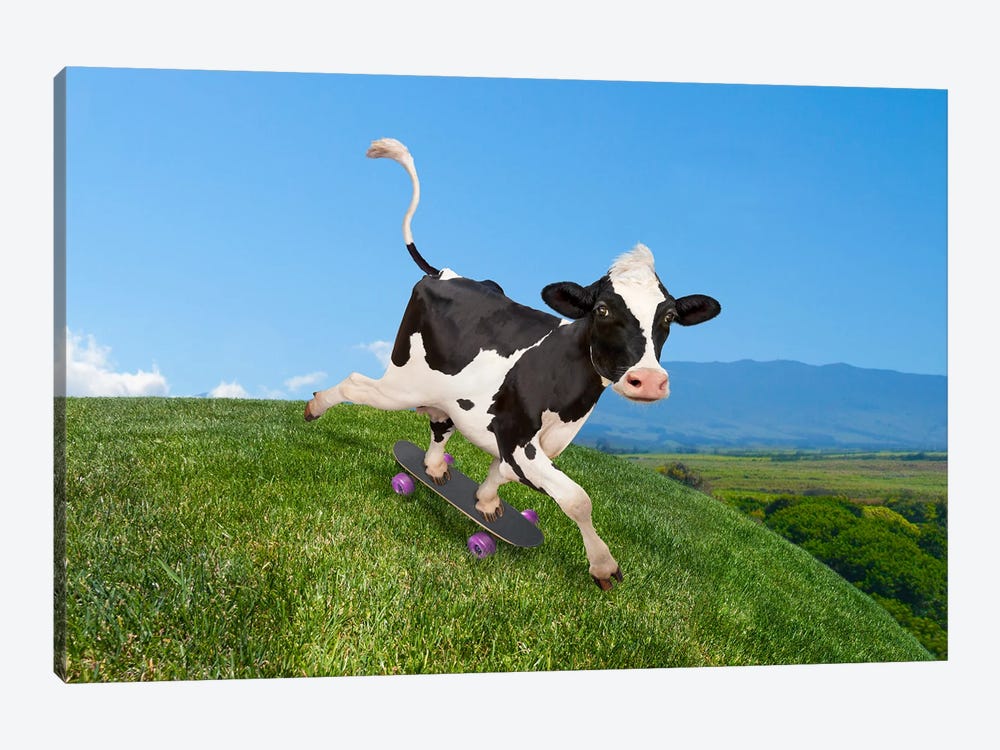 Skateboarding Cow by Lund Roeser 1-piece Canvas Art Print