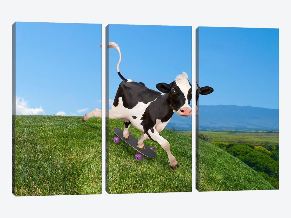 Skateboarding Cow by Lund Roeser 3-piece Canvas Print