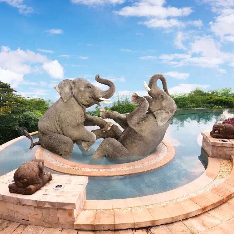 Elephant Spa