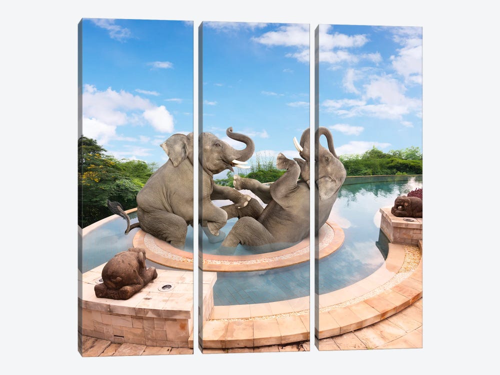 Elephant Spa by Lund Roeser 3-piece Canvas Print