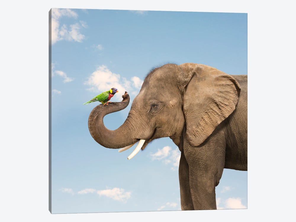 Elephant And Lorikeet Friends by Lund Roeser 1-piece Canvas Artwork