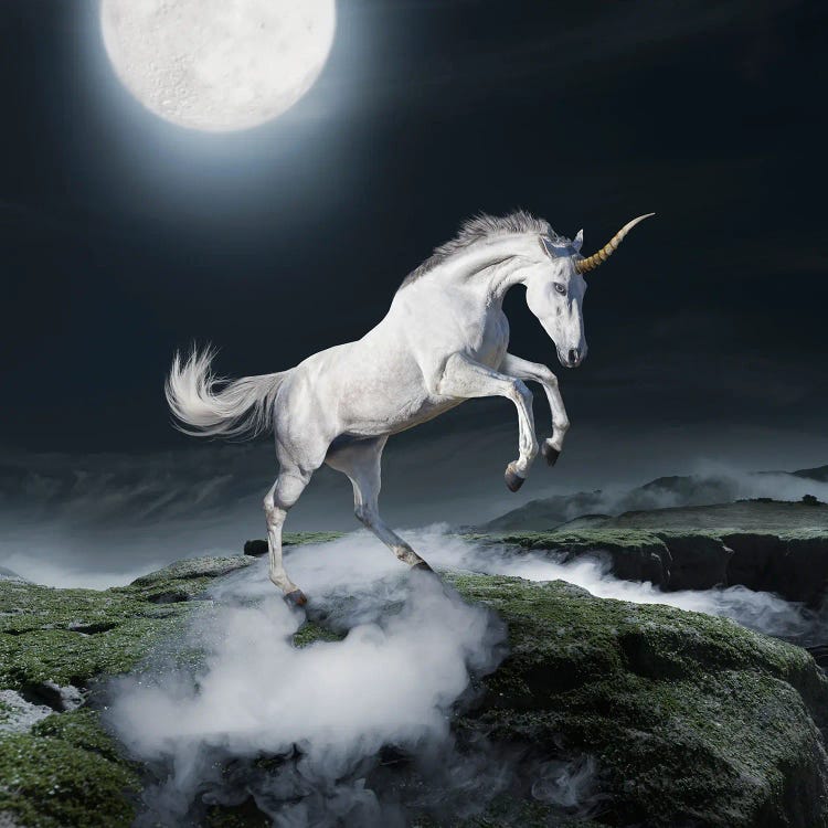 Midnight Unicorn