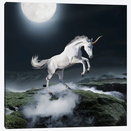 Midnight Unicorn Canvas Print #LDZ99} by Lund Roeser Canvas Art