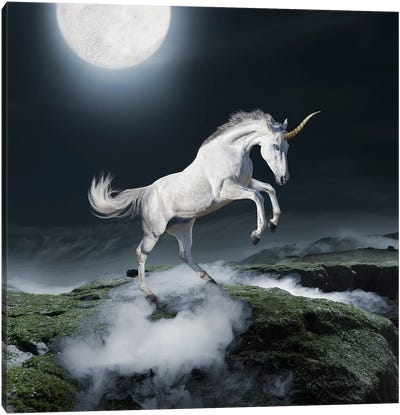 Midnight Unicorn Canvas Art Print - Lund Roeser
