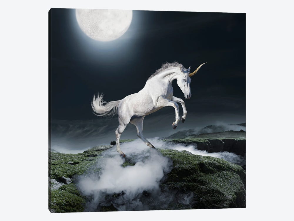 Midnight Unicorn by Lund Roeser 1-piece Canvas Print