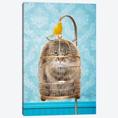 Caged Cat Canvas Print #LDZ9} by Lund Roeser Canvas Art