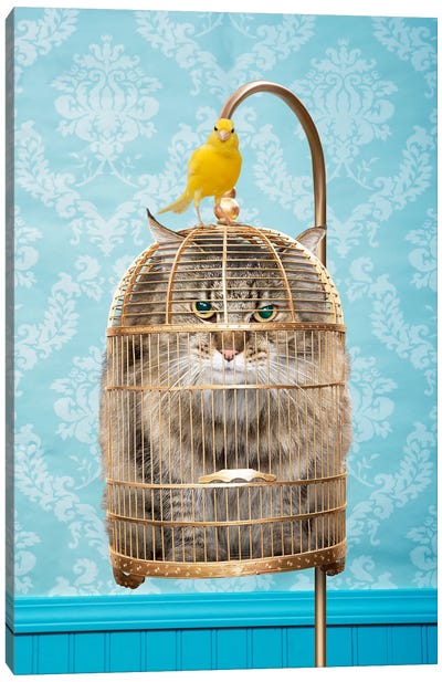 Caged Cat Canvas Art Print