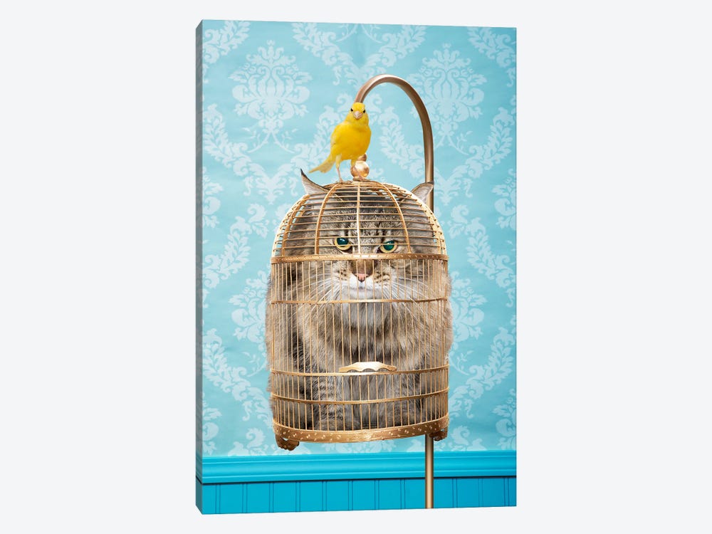 Caged Cat by Lund Roeser 1-piece Canvas Art